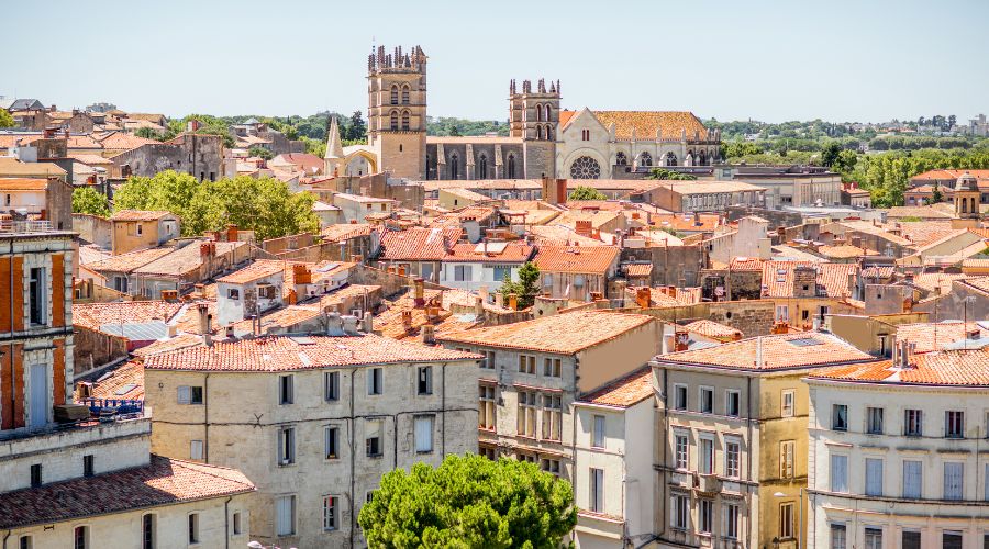 présentateur de congrès et conférence à montpellier